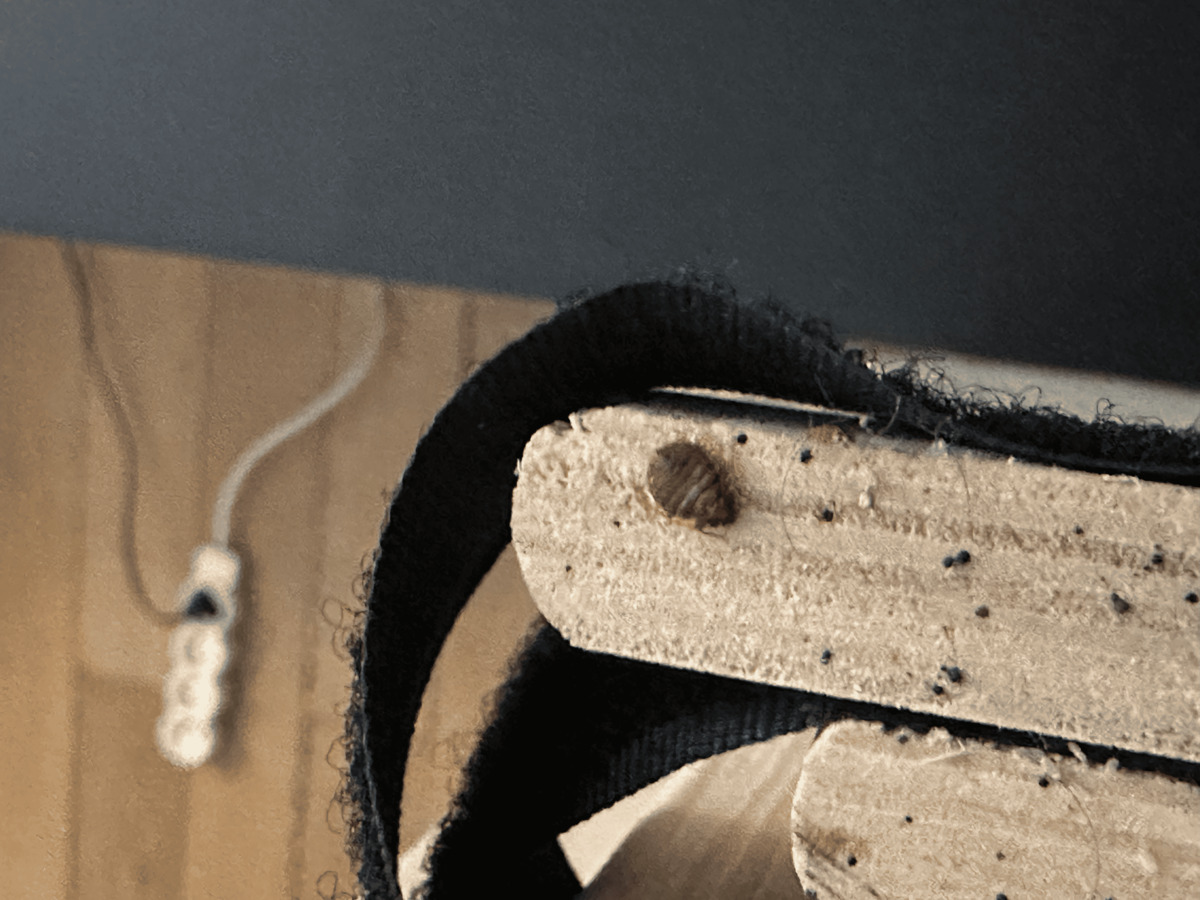 punaise de lit à Saint-Martin-d’Hères